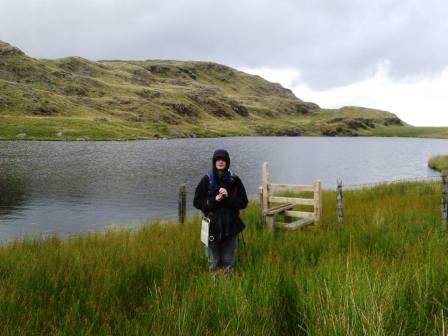 Jimmy by Llyn Dyrnogydd on the descent