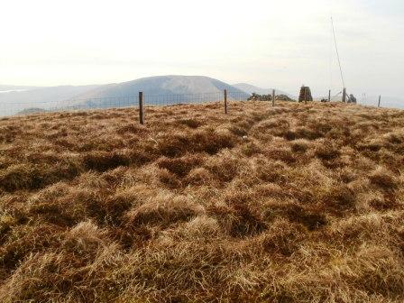 Summit of Tarren y Gesail