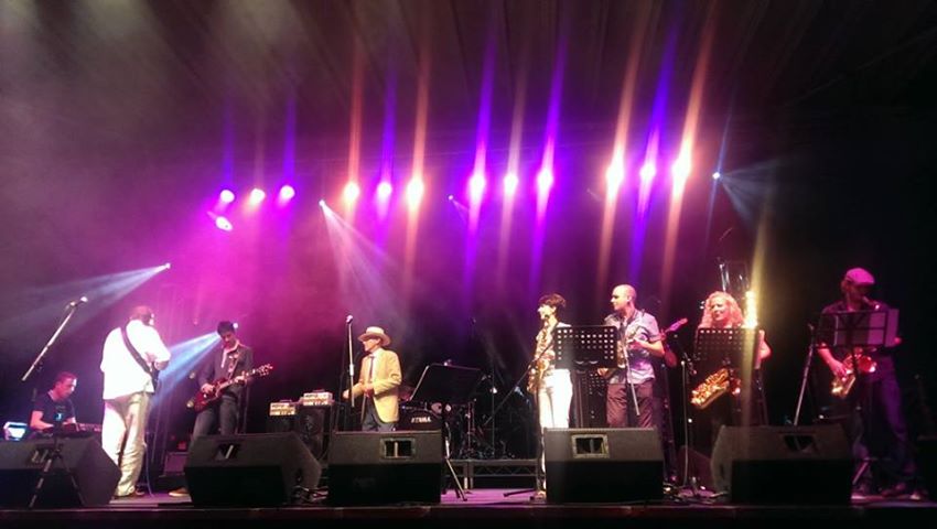 Manatees at the Great British Rhythm & Blues Festival