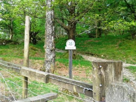 Holme Fell