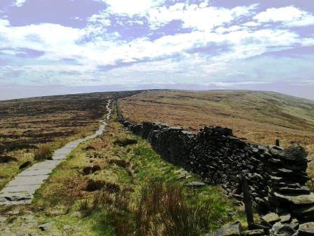 Flagged path to Shining Tor