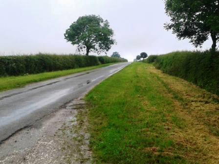 Lane across Normanby Top summit