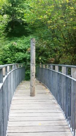 Footbridge and pole near the top of the falls