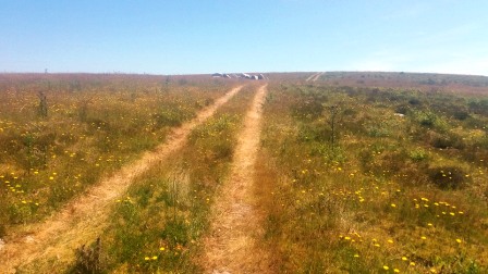 Clear track up Hensbarrow Downs