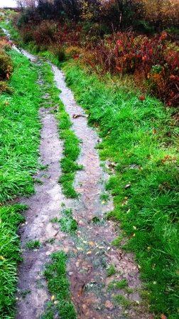 Waterlogged path