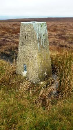Trig point on Hoove
