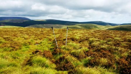 Shillhope Law in the Cheviots