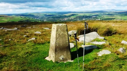 Top of Leach