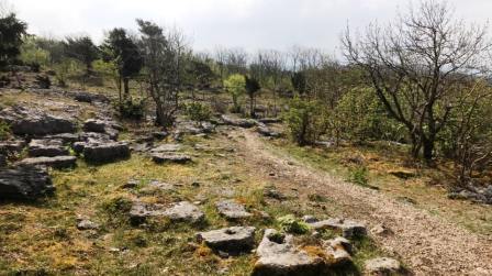 Ascending Hutton Roof Crags