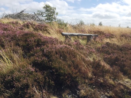 This bench near the summit is the nearest thing to an identifiable summit marker