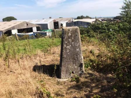 Summit trig on Dundry Down