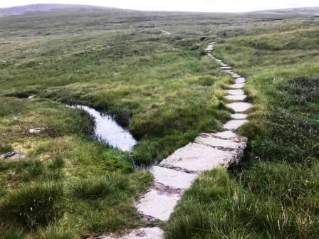 Crowdundle Head