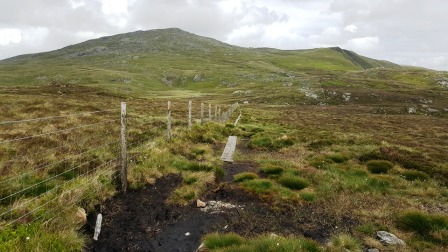 Boardwalks in the saddle between Glasgwm and Aran Fawddwy