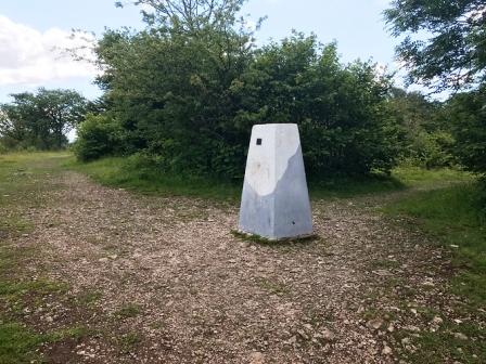 Trig point on Arnside Knott