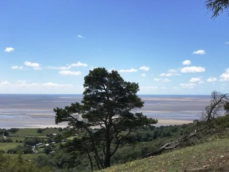 Morecambe Bay