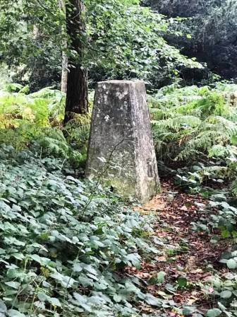 Burton Hill trig point (not the summit)