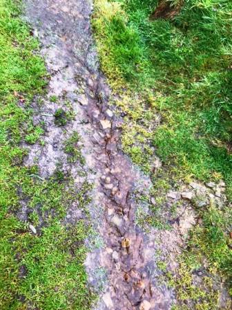 Waterlogged path