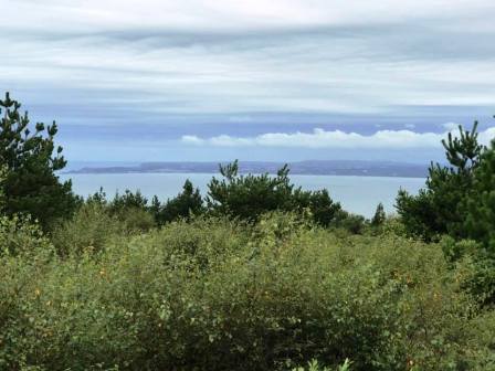 View over Swansea Bay