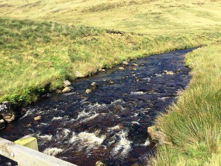 Afon Hyddgen