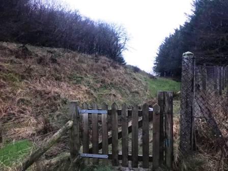 Gateway to the Beacon Ring