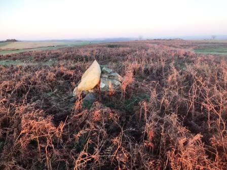 Modest cairn marking the summit of Bradnor Hill