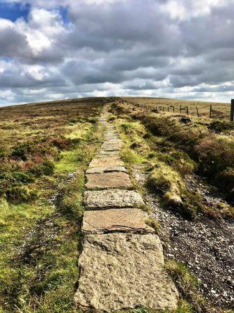 Flagged path to Shining Tor