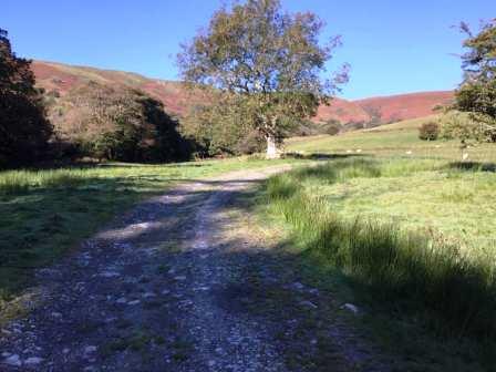 Walking in the Welsh countryside on a beautiful morning