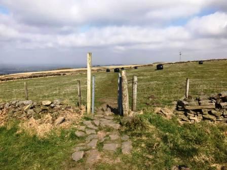 Following the Gritstone Trail over the shoulder of Brink