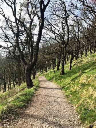 Walking through Macclesfield Forest