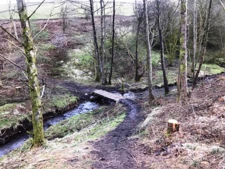 Woodland footpath south of Lamaload