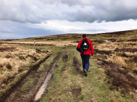 On the path to Beacon Hill