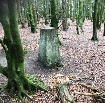 Summit trig in Beacon Ring