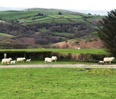 Rush hour Wales