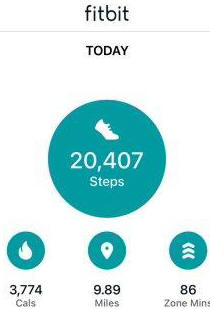 Plenty of steps today!