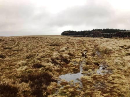 A damp Easington Fell!