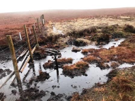 Always a boggy walk-in to White Hill summit