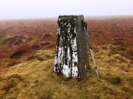 At the summit