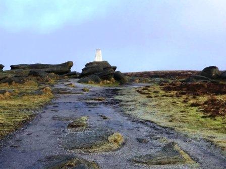 Kinder Low