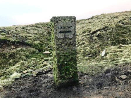 Waymarker post