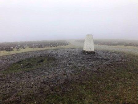 Trig point