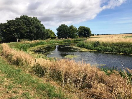 Steeping River