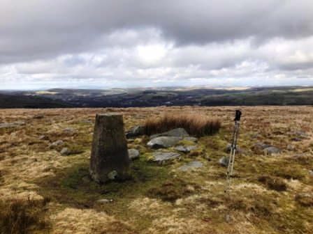 Trig point on Top of Leach