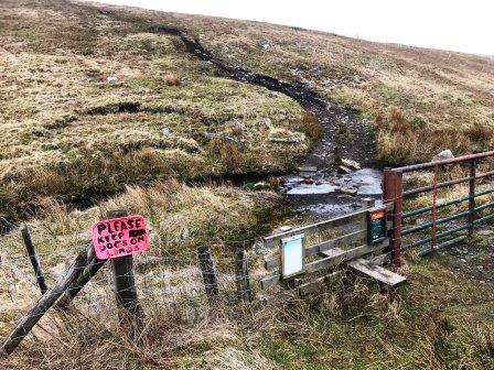 Start of path up Whernside