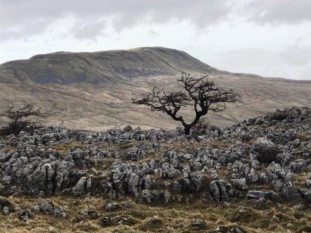 Looking back to the mountain over a limestone outcrop