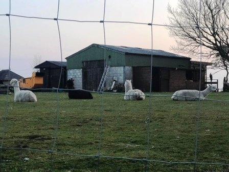 More Cloud residents