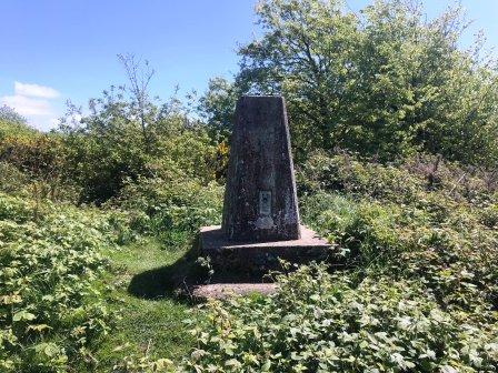 Brighstone Down summit