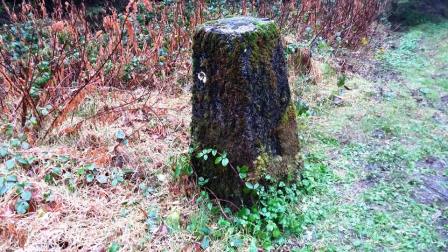 Trig point