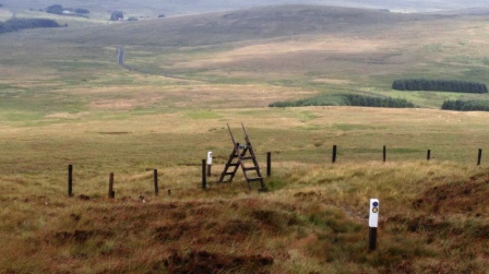 The mist cleared on the way back down