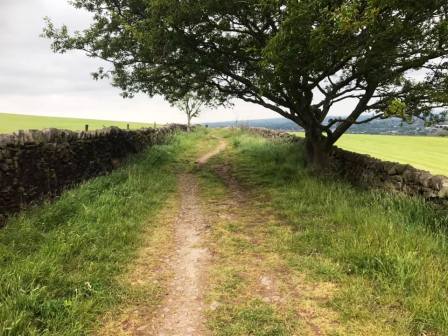 Walled packhorse track from Buxton Old Road to Longden Lane