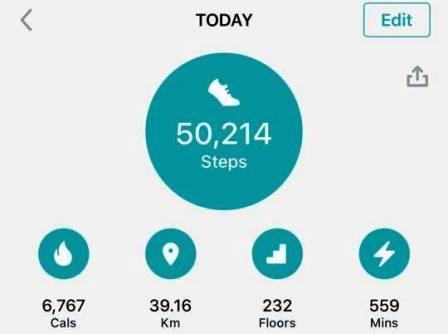 A new personal record on my Fitbit step tracker!